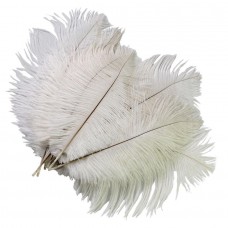 Feather Ostrich Plume Natural 14"-16"